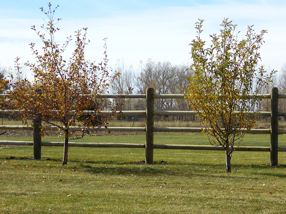 wood fence Fulshear Texas